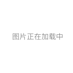  NDJ-5S旋转粘度计(数字式）